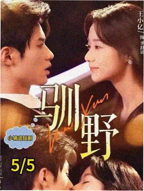 风起长安 大师兄影视热播剧